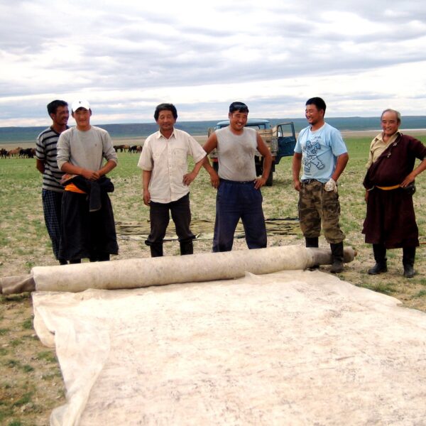 Nomadenschaetze: 2007 Arlette on the road. Filzen in der Mongolei. Die Frauen bereiten vor, die Männer rollen