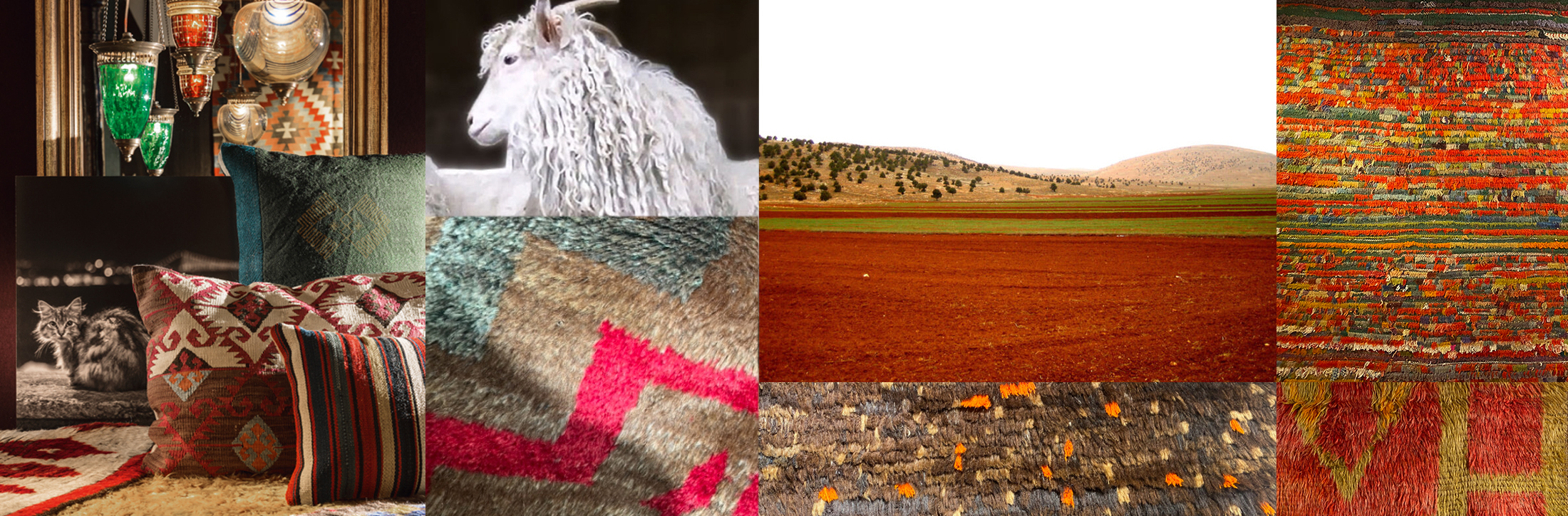 Nomadenschätze Startseite